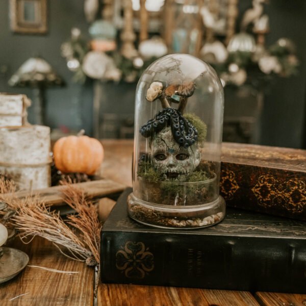 “Macabre Doll Head Terrarium: A Haunting Display of Mink and Butterfly”