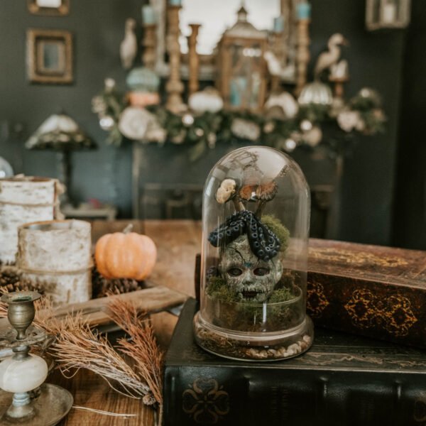 “Macabre Doll Head Terrarium: A Haunting Display of Mink and Butterfly”