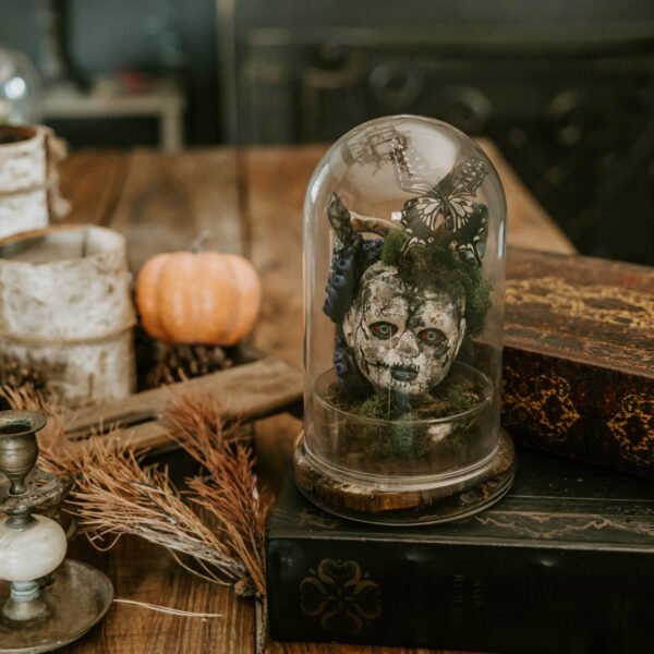 “Enigmatic Doll Head Terrarium: The Octopus and Butterfly’s Dark Embrace”