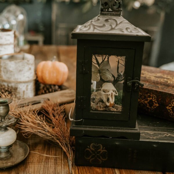 “Haunted Grove Terrarium: Muskrat, Butterfly, and Skull Among the Enchanted Tree”