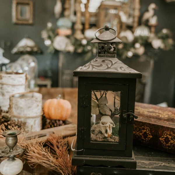 “Haunted Grove Terrarium: Muskrat, Butterfly, and Skull Among the Enchanted Tree”